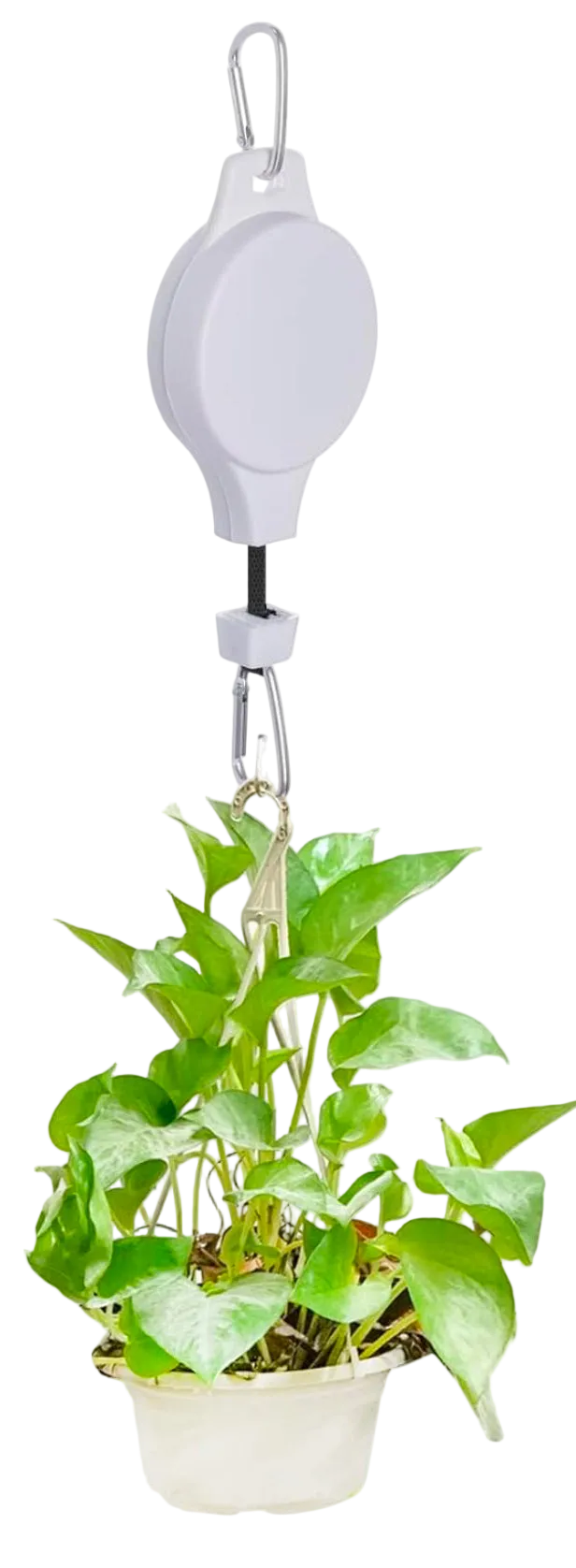 White Plant pulley retractable hanger