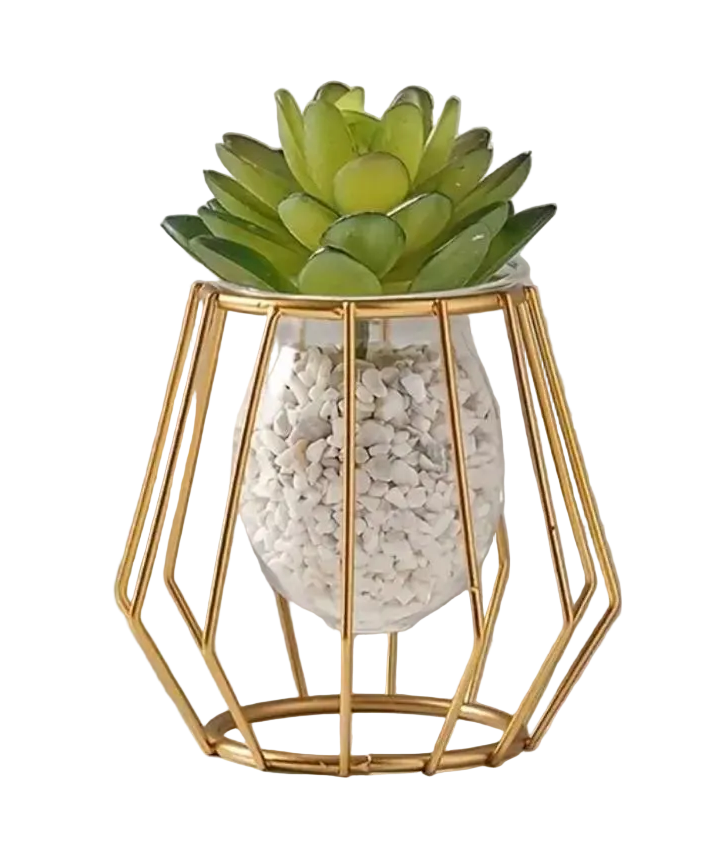 گلدان شیشهای هیدروپونیک هندسی طلایی