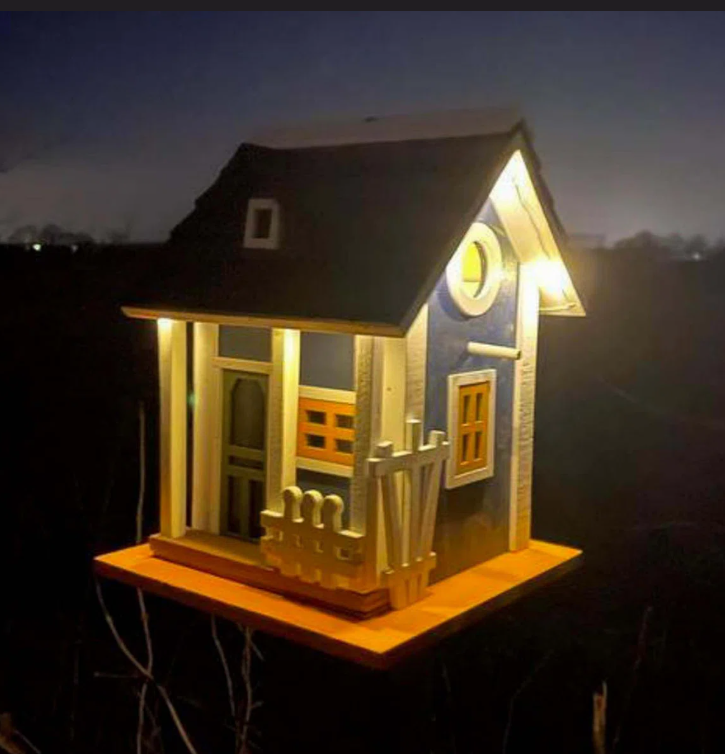 Wooden Solar outdoor bird house