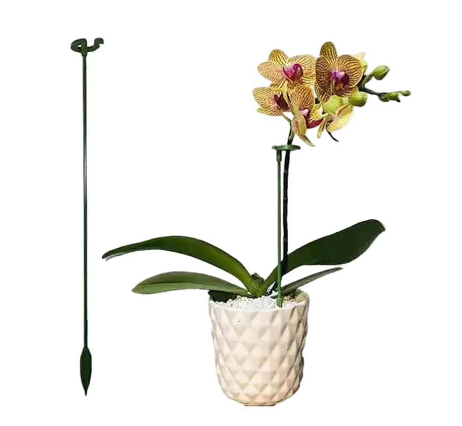 6 pcs Garden Single Stem Support Stake