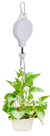 White Plant pulley retractable hanger