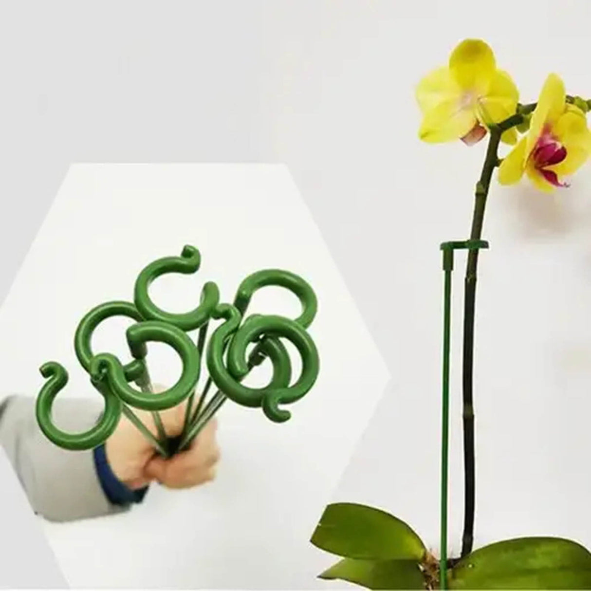 6 pcs Garden Single Stem Support Stake