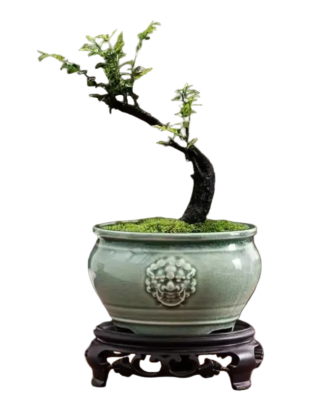 2 pcs retro Chinese ceramic flower pots (1 flowerpot & 1 base)