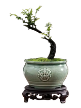 2 pcs retro Chinese ceramic flower pots (1 flowerpot & 1 base)