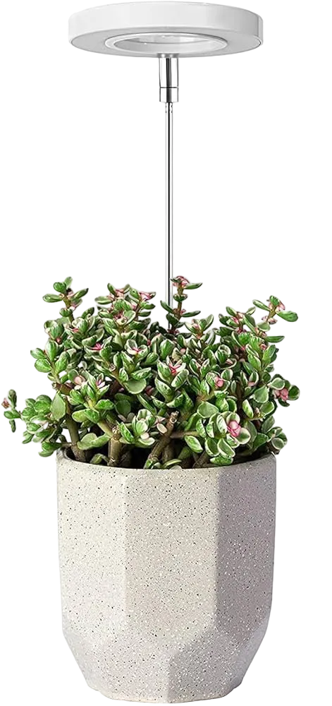 3 pcs LED Grow Light Indoor Full Spectrum