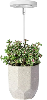 3 pcs LED Grow Light Indoor Full Spectrum