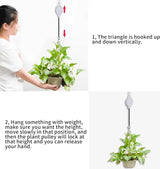 White Plant pulley retractable hanger