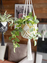 Bohemian Style Handwoven Hanging Planter Macrame